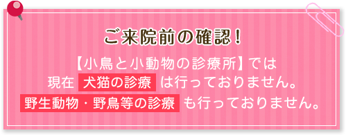 ご来院前の確認！【小鳥と小動物の診療所】では、現在犬猫の診療は行っておりません。野生動物・野鳥等の診療も行っておりません。