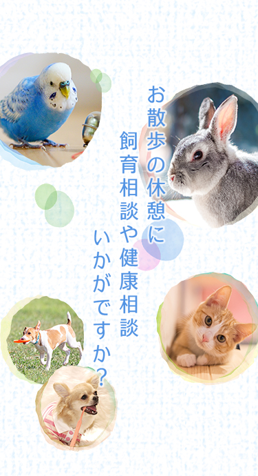 お散歩の休憩に飼育相談や健康相談いかがですか？