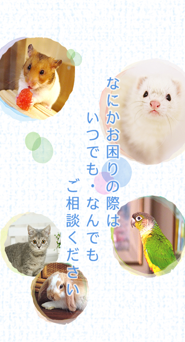 なにかお困りの際はいつでも・なんでもご相談ください