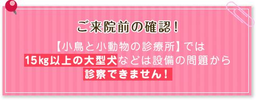 ご来院前の確認！【小鳥と小動物の診療所】では、15㎏以上の大型犬などは設備の問題から診察できません！