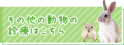 その他の動物の診療はこちら